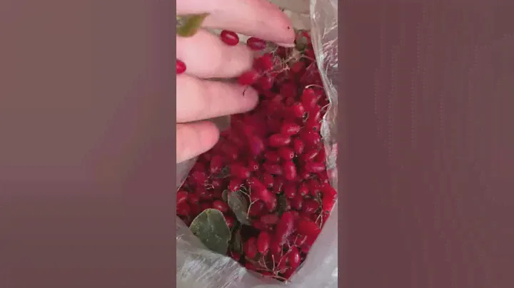 барбарис для плова