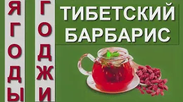 Тибетский барбарис
