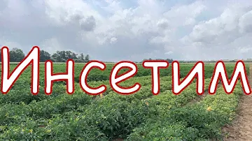 Инсетим. Препарат, который Вам необходим. Технология от Аллея Вкуса