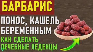 Природный лекарь - растение Барбарис: Полезные свойства и противопоказания (польза ягод и рецепты)