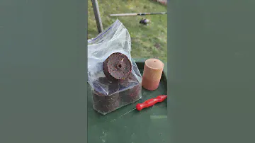 Толстолоб. Альтернатива Технопланктону! ТЕХНОПЛАНКТОН.