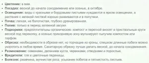 Барбарис Тунберга Файр Болл-1