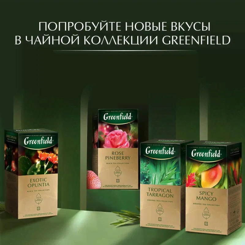 Чай Greenfield Barberry garden барбарис и гибискус,25пак/уп 0710-10-3
