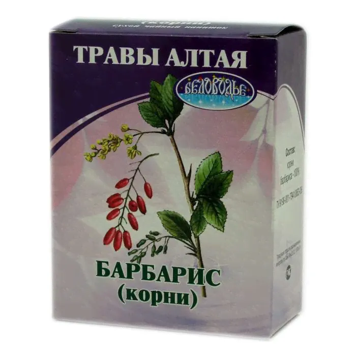 Барбарис корень Беловодье